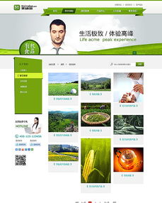 企業(yè)網(wǎng)站設(shè)計 構(gòu)建專業(yè)、高效的數(shù)字門戶